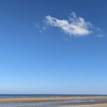 Appartement Vue - Adorable A 50 M De La Et Du Centre Cabourg