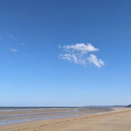 Apartment Vue - Adorable A 50 M De La Et Du Centre Cabourg