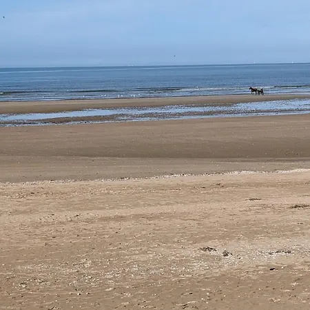 Vue - Adorable A 50 M De La Et Du Centre Appartement Cabourg