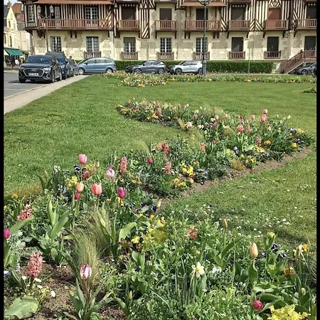 Appartement Vue - Adorable A 50 M De La Et Du Centre *