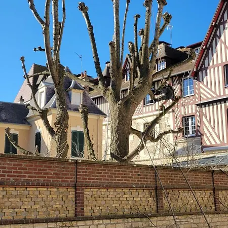 Vue - Adorable A 50 M De La Et Du Centre * Cabourg