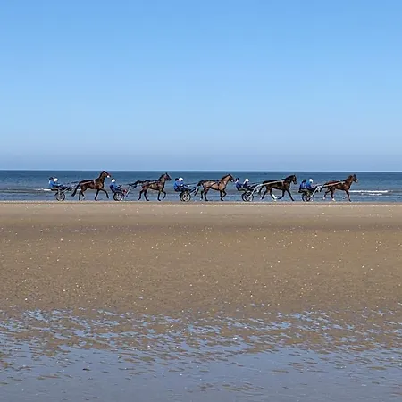 شقة Vue - Superbe A 50 M De La Et Du Centre *